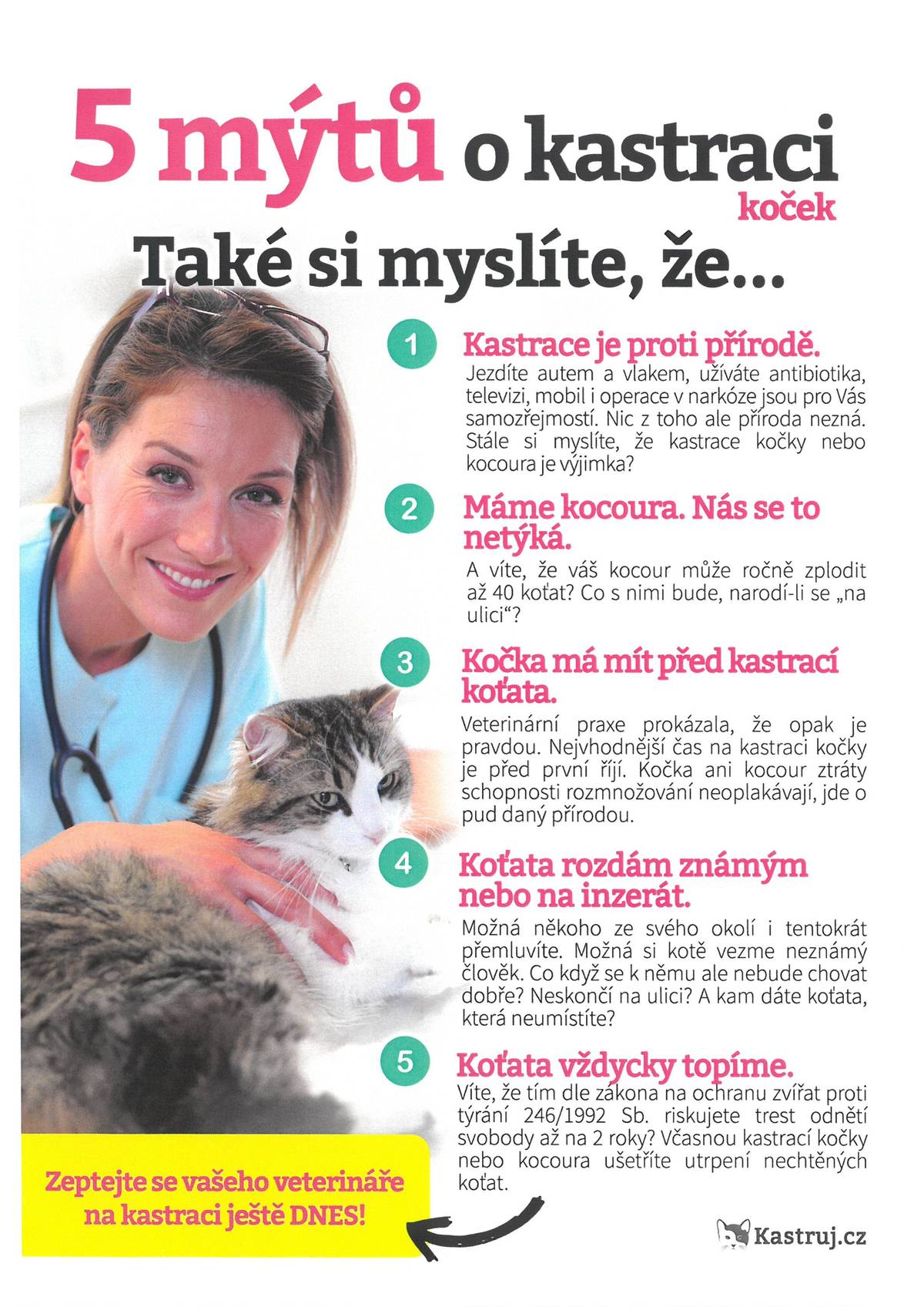 5 mýtů o kastraci koček