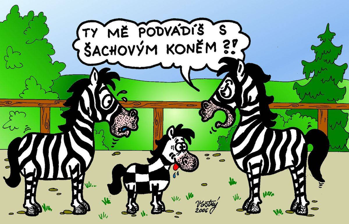 Poprask ve výběhu zeber v Zoo