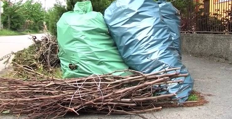 Zber biologického odpadu - A zöldhulladék szedése