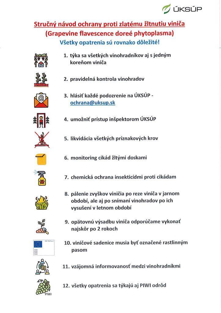 Ústredný kontrolný a skúšobný ústav poľnohospodársky v Bratislave informuje o šíriacej sa chorobe viniča - zlaté žltnutie viniča.