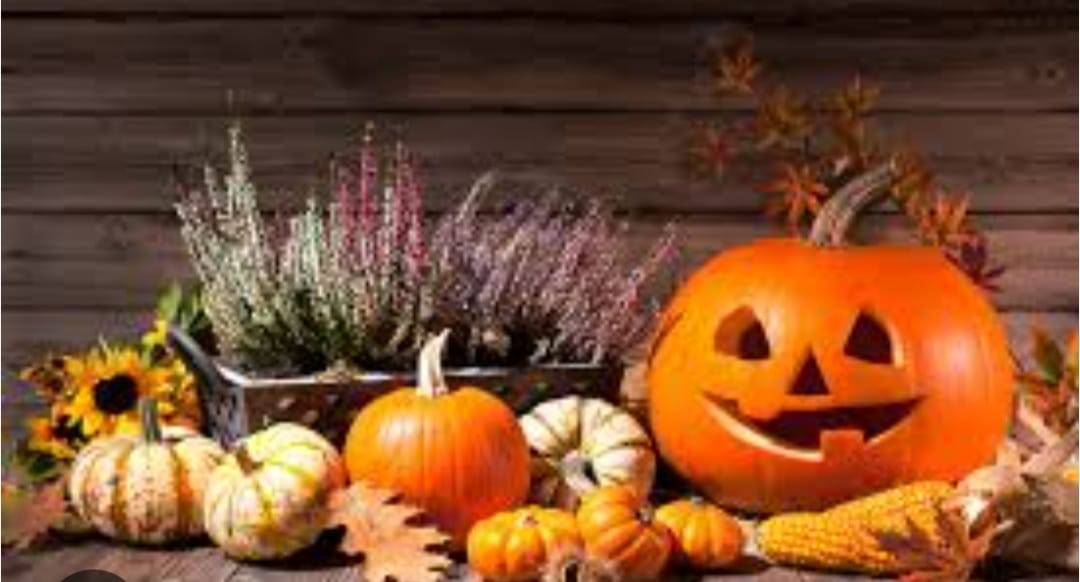 18.10.2025 od 16:00 v místním obecním domě.