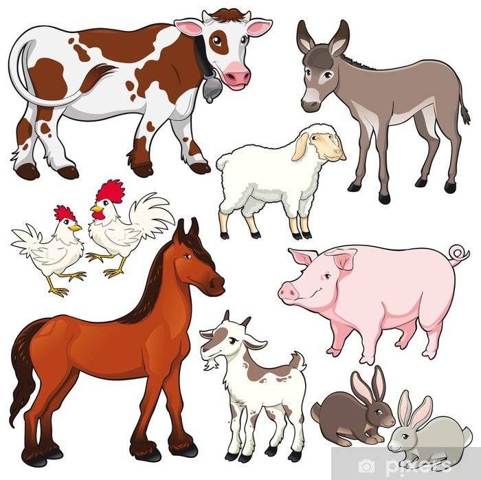 Paní Bromová bude prodávat kuřice za 265 - 275,- Kč/ks dle stáří kuřic. Prodej se uskuteční v sobotu 11. října v 8 hodin u prodejny K+. Firma Vojtíšek bude v neděli 12. října od 10:30 hodin u Obecního domu prodávat krmné směsi pro hospodářská i domácí zvířata.