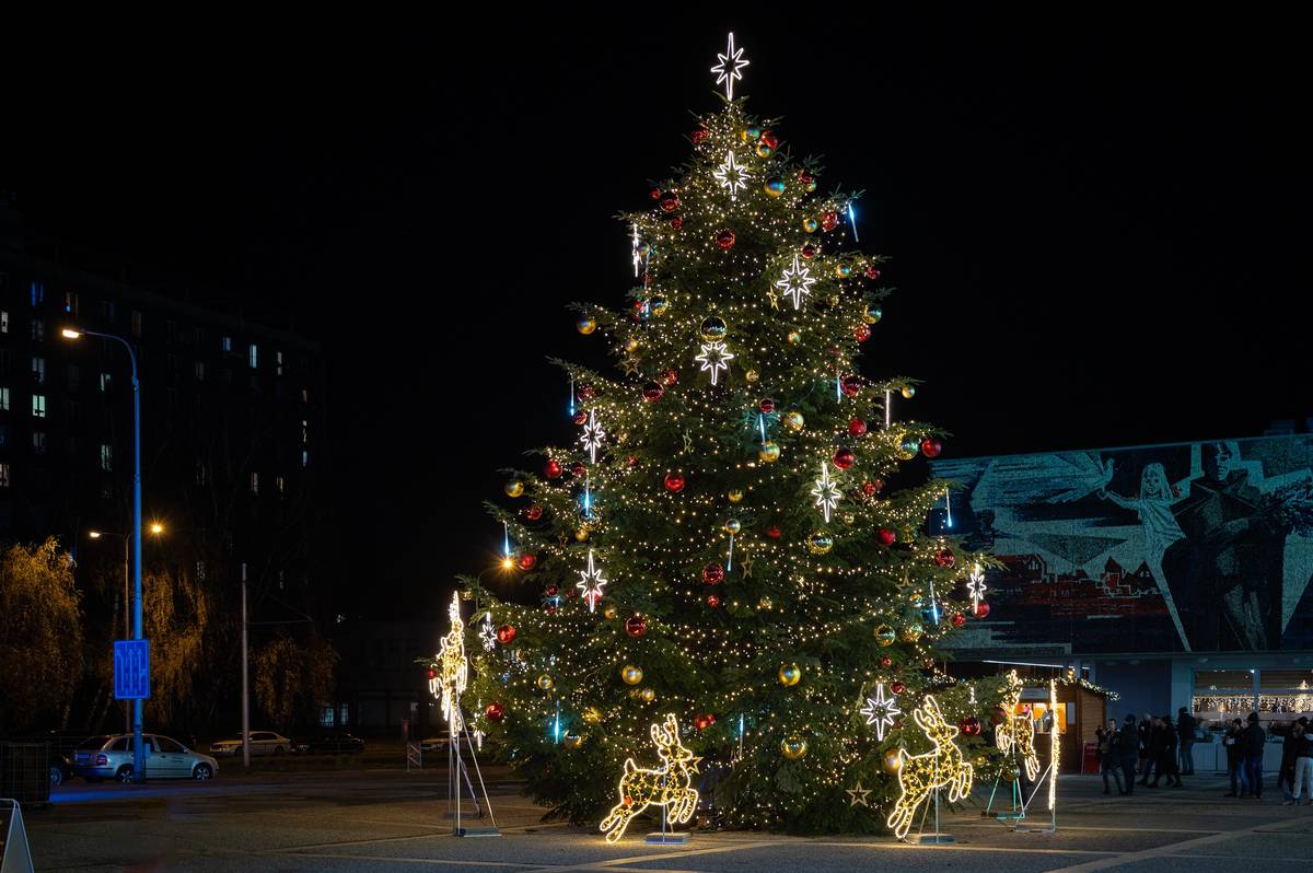 Víte o stromu, který by mohl o Vánocích zdobit Náměstí Ostrava-Jih nebo SNP v Zábřehu? Uvítáme tipy na vánoční stromy, ideálně smrky, vysoké min. 10 m, bez větších defektů v koruně. Fotografie s popisem místa, kde se strom nachází, prosím posílejte do 15. října na mejl: angela.bandolova@ovajih.cz.