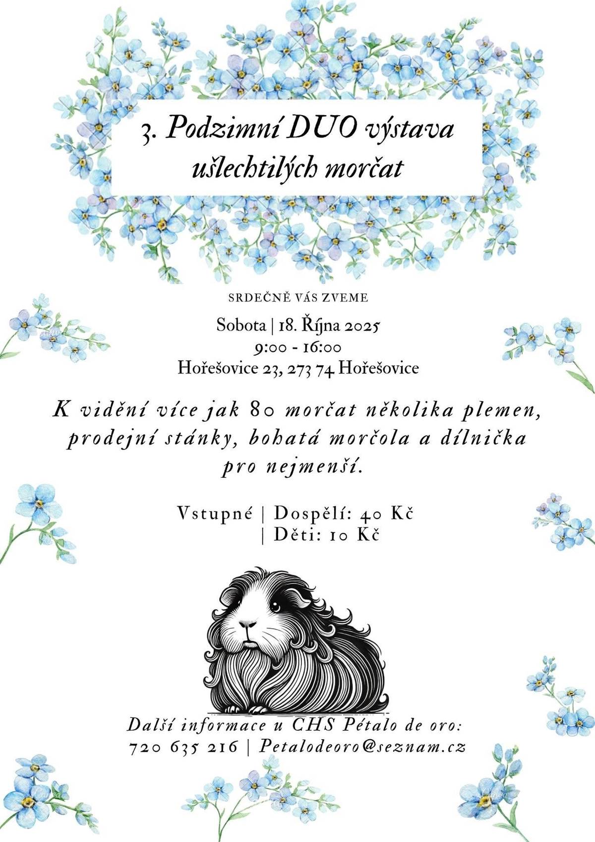 V sobotu 18.10. od 9:00 – do 16:00 můžete navštívit v budově staré školy výstavu ušlechtilých morčat. K vidění bude více jak 80 morčat, bohatá tombola, prodejní stánky, i dílnička pro nejmenší.