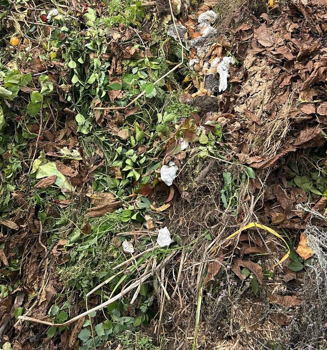 Milí hrobečtí a rohatečtí, při dnešním svozu bioodpadu z něj musela být vybrána spousta plastu a papíru, což nám velmi komplikuje práci. Chápu, že se někdy stane a spadne Vám do biopopelnice něco, co tam nepatří (i mě tam omylem spadl při vysypávání kytky i květináč), ale vše jde napravit a nebiověc vylovit (třeba za pomoci hrabiček 😉). Dbejte prosím na to, aby ve Vašich biopopelnicích byl jen bioodpad. Děkujeme!   Pěkný den    KH