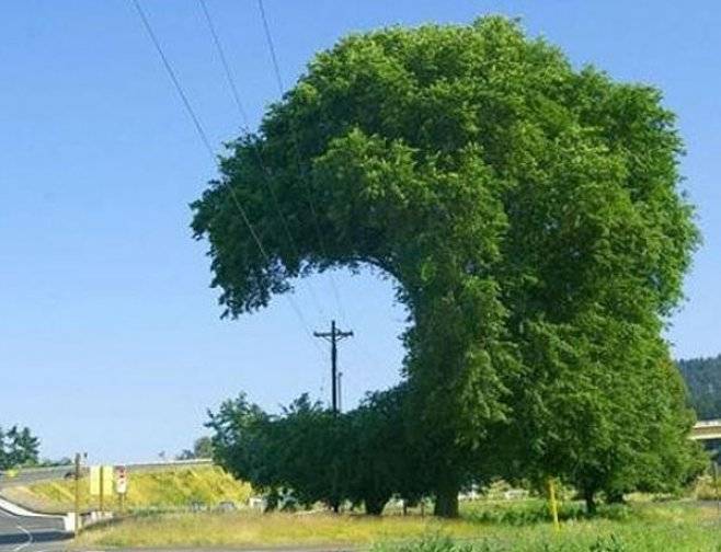 ČEZ Distribuce upozorňuje vlastníky a uživatele pozemků, aby provedli údržbu porostů ohrožujících nadzemní elektrické vedení. Zásah musí být realizován do 15. listopadu 2025, jinak mohou pracovníci společnosti zasáhnout sami.