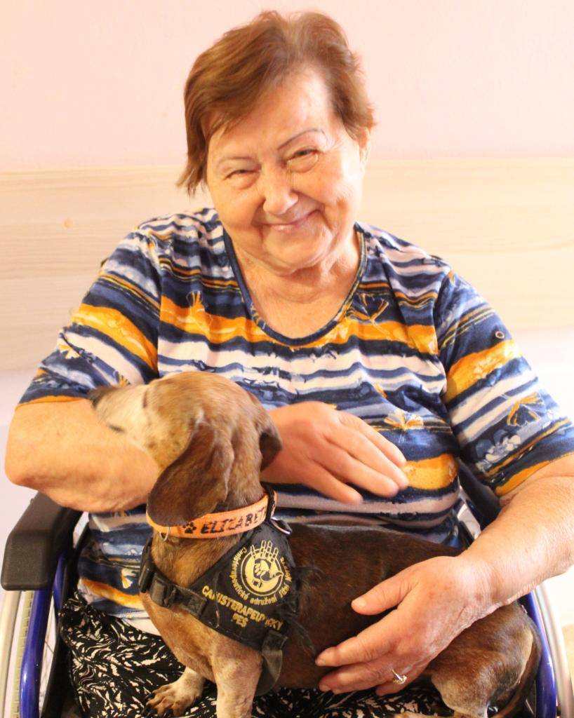 Canisterapie – radost na čtyřech tlapkách.  Do našeho centra znovu zavítali naši oblíbení čtyřnozí přátelé.  Pejsci opět přinesli spoustu radosti, něhy i milých úsměvů. Naši klienti si užili chvíle plné pohlazení, kontaktu a přítomnosti, která léčí – někdy i víc než slova.