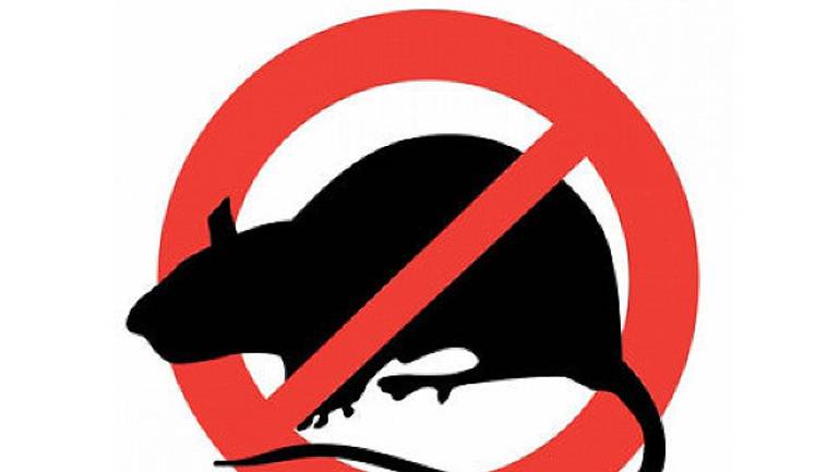 Výzva na výkon jesennej preventívnej celoplošnej deratizácie