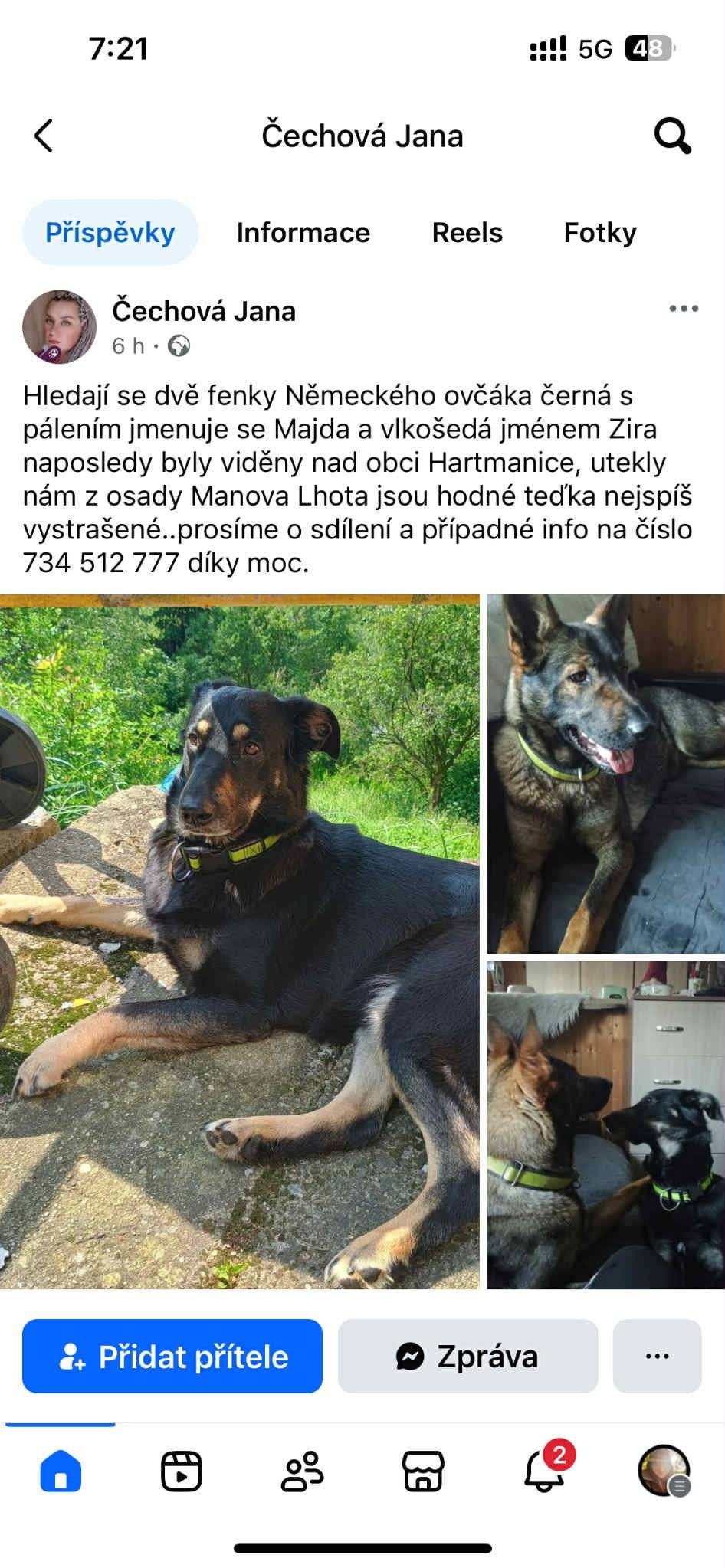 Hledají se dvě fenky Německého ovčáka černá s pálením jmenuje se Majda a vlkošedá jménem Zira. Kdyby pejsky někdo viděl, volejte na číslo: 734 512 777. 🙏 jsou z Manové Lhoty.