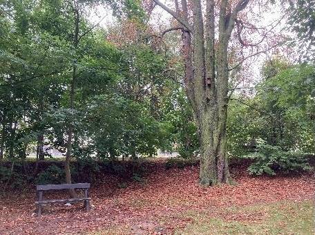 V roce 2025 bylo využití sýkorníků ptáky 98 % (meziročně ±0 %), dokončená hnízda ptáků nalezena v 89 % budek (meziročně -8 %). Hnízda náležela nejméně 5 druhům ptáků (meziročně +3 druhy), a to: sýkora koňadra, vrabec polní/domácí, sýkora modřinka, sýkora uhelníček a sýkora neurčeno.