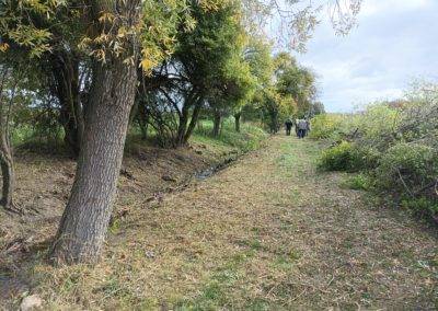 V sobotu 12.10. se okolí Černého potoka v Braškově proměnilo – hasiči na přání obce vyrazili do terénu a odstranili náletové dřeviny i přerostlé křoviny. Během několikahodinové brigády vše pečlivě naskládali na hromady pro další zpracování. Společně tak připravujeme území pro vznik nových mokřadů, které zlepší krajinu i zadrží vodu v povodí potoka. Text: V. Chalupa, foto: M Ondráček a J. Skopový