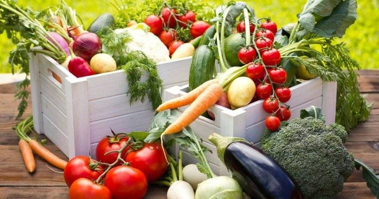 Zelenina Juvita Uherský Brod bude prodávat: krouhané zelí, brambory na uskladnění z Vysočiny, jablka, cibuli na uskladnění, český česnek, rajčata, okurky, papriky a další ovoce a zeleninu. Také nabízí žampiony, hlívu ústřičnou, čalamádu, med a olejové svíčky.  Prodej se uskuteční ve středu 15. října od 10:00 do 10:15 u obecní hospody. Řidič přijímá objednávky na krouhané zelí a brambory na tel. čísle: 777 897 272