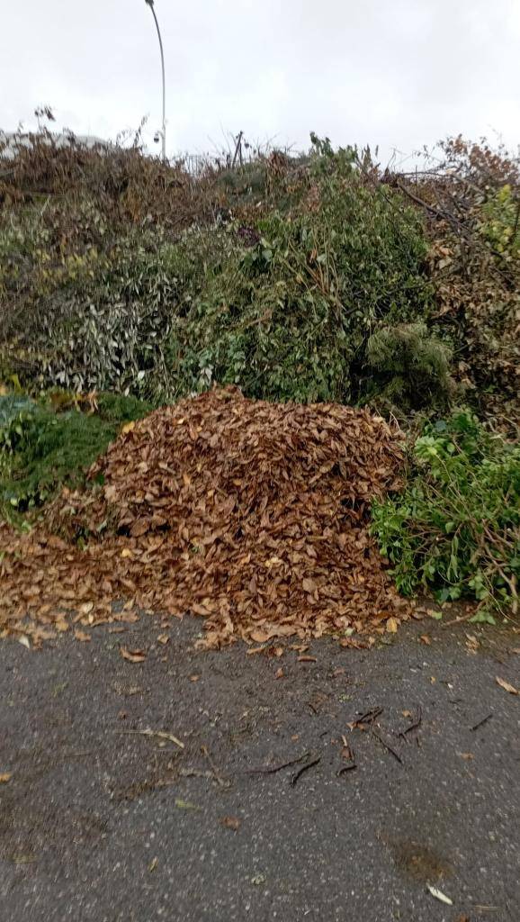 Vážení občané, dovolujeme si vás upozornit, že místo určené pro ukládání dřevní hmoty (větve, kmeny, keře apod.) není určeno pro trávu, listí ani jiný drobný bioodpad.  Prosíme vás, abyste trávu, listí a podobný materiál ukládali výhradně do kontejnerů na sběrném dvoře.
