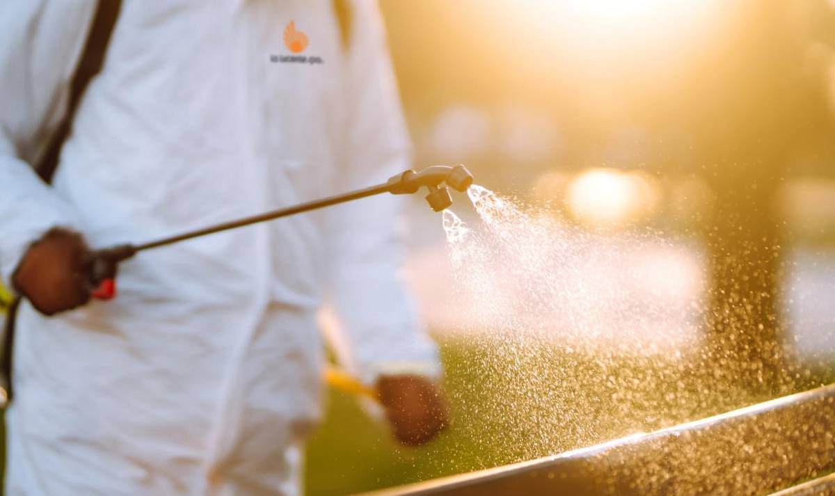 Regionálny úrad verejného zdravotníctva so sídlom v Nových Zámkoch vyzýva na vykonanie jesennej preventívnej celoplošnej deratizácie.