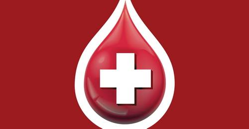 Obec Chocholná-Velčice v spolupráci s Národnou transfúznou službou SR a Miestnym spolkom Slovenského červeného kríža Chocholná-Velčice oznamujú, že sa v našej obci uskutoční v pondelok 27. 10. 2025 odber krvi mobilnou jednotkou NTS.