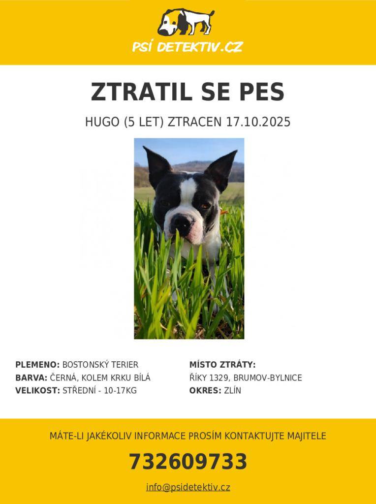 v Brumově-Bylnici, okres Zlín se 17.10. ztratil 5 let starý bostonský teriér jménem Hugo!!!  Kdybyste měli nějaké informace, volejte prosím na 732609733, případně napište na email terezapechova@hotmail.cz