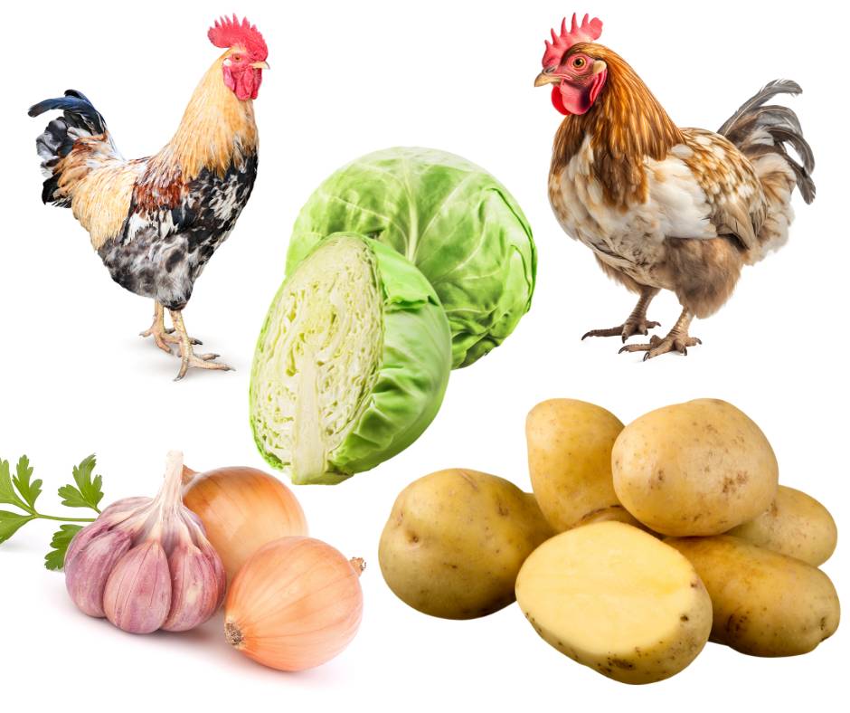 Studénka drůbež nabízí k prodeji drůbež a zeleninu na uskladnění.  Prodej se uskuteční 23. 10. 2025 od 12.15 do 12.30 hod. na parkovišti u hřiště.