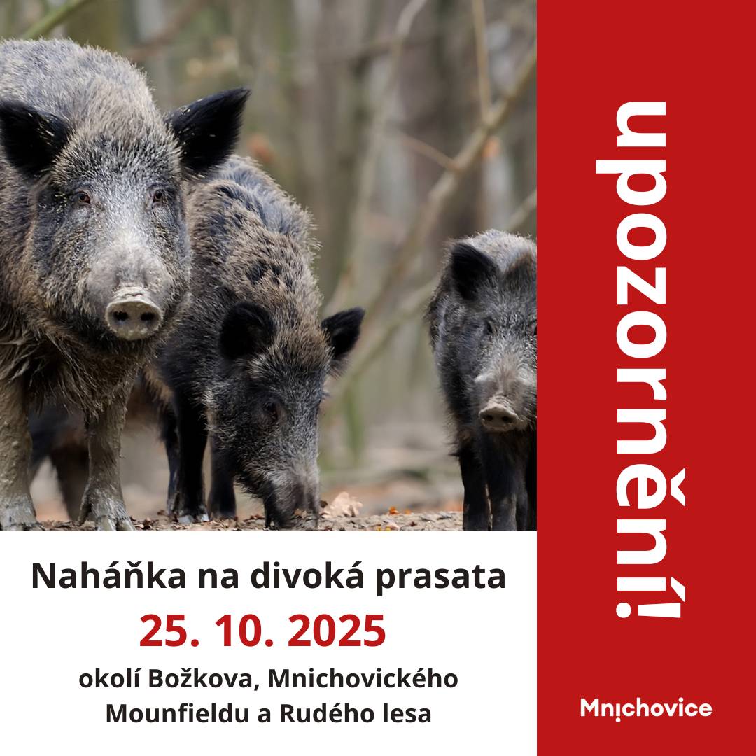 Myslivecký spolek Hrusice oznamuje: V sobotu 25. 10. 2025 přibližně od 8:00 do 16:00 se bude v okolí Božkova, Mnichovického Mounfieldu a Rudého lesa konat naháňka na černou zvěř (divoká prasata). Dbejte prosím zvýšené opatrnosti. Vstup do dotčených oblastí, zejména se psy, v době naháňky důrazně nedoporučujeme. Sledujte náš nově i na Instagramu.