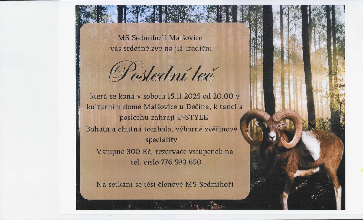 MS Sedmihoří Malšovice vás srdečně zve na tradiční večer, který se koná v sobotu 15. listopadu 2025 od 20:00 v kulturním domě Malšovice u Děčína.