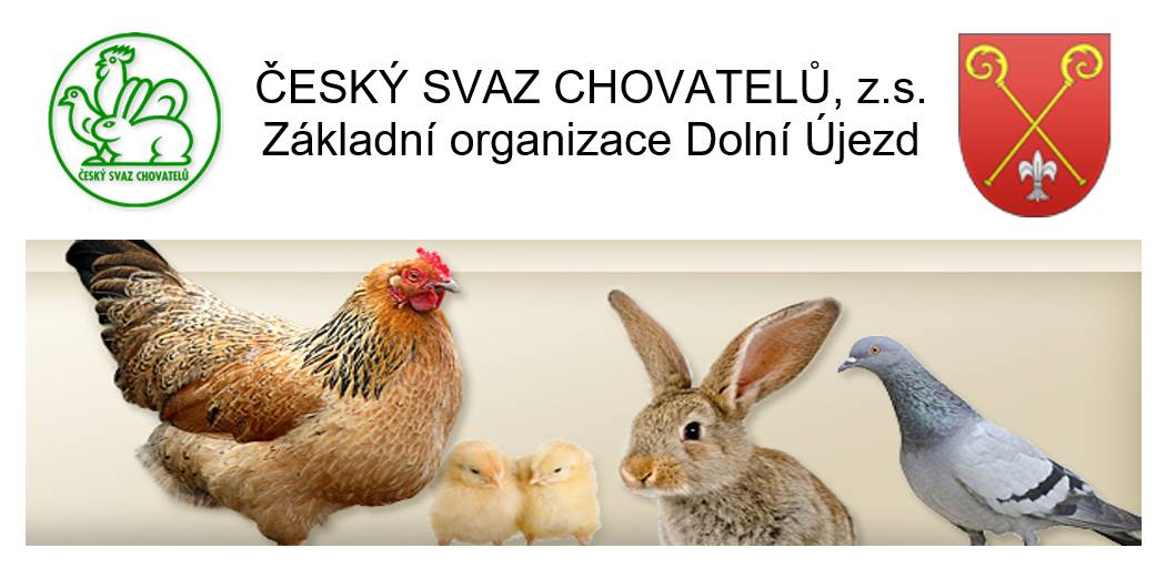 ČESKÝ SVAZ CHOVATELŮ, z.s.  Základní organizace Dolní Újezd Vás zve na jubilejní 40. výstavu králíků, drůbeže, holubů a exotů  8. – 9. listopadu 2025 Králičí hop, možnost nákupu chovných zvířat. Prezentace chryzantém a farmářských výpěstků. Bohatá tombola. Občerstvení zajištěno. OTEVŘENO:    SO: 08:00 – 16:00 NE: 08:00 – 14:00  Chovatelské středisko, Dolní Újezd 107 Na Vaši návštěvu se těší pořadatelé.