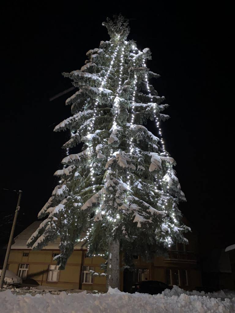 Rozsvícení vánočního stromu je v Černíkovicích již tradiční akcí. Letos se strom rozzářil na první adventní neděli za účasti místních obyvatel, kteří se pak společně zahřáli nad šálkem svařeného vína v místní hospůdce. Děti potěšil starosta obce mikulášskými balíčky plnými sladkých překvapení.