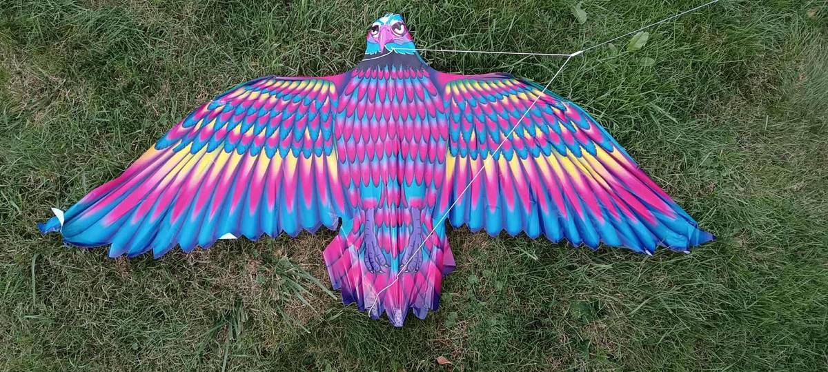 V okolí Benetic, byl nalezen drak, k vyzvednutí u pana Krejčího č.p. 5.