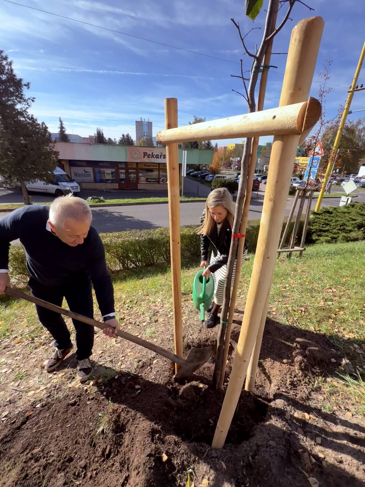 V pondělí 20. října jsme si připomněli Mezinárodní den stromů a navázali na tradici, kterou jsme u nás založili vloni – výsadbou nových stromů. 🌱 Letos jsme vysadili celkem šest stromů:  2× lípa srdčitá 2× jerlín japonský 2× javor babyka  Jedna lípa byla vysazena v ulici Revoluční, ostatní stromy doplnily zeleň v ulici Jižní mezi domy č. p. 345–336. Druh stromů i místa výsadby doporučila Komise životního prostředí na základě návrhu RNDr. Višňáka. Každý nově zasazený strom pomáhá vytvářet příjemnější a zelenější prostředí pro nás všechny. 💚