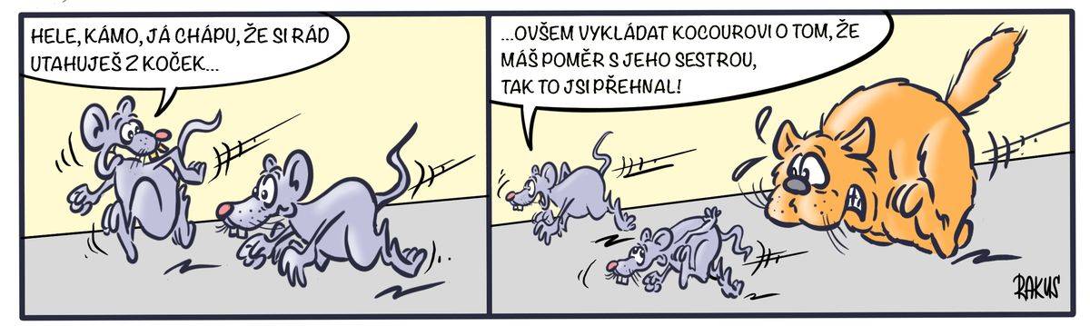 Co nejvíc naštve kocoura?