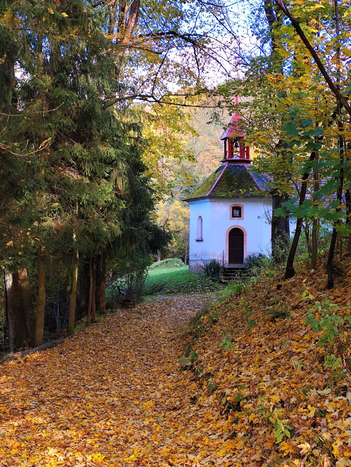 Vakcinace psů dne 22.10. 2025 Nekoř Vejrov (před bývalým obchodem) 16:00, Obecní úřad 16:30, kostel sv. Mikuláše 17:00, Nekoř horní (křižovatka, vjezd do areálu Klas Nekoř) 17:30.  V případě nevyhovujícího termínu je možné se individuálně domluvit na tel.: 737 800 394 23.10. 2025 plánovaná odstávka elektrické energie od 7:30  do 11:00 hodin pro vybrané části obce viz. příloha