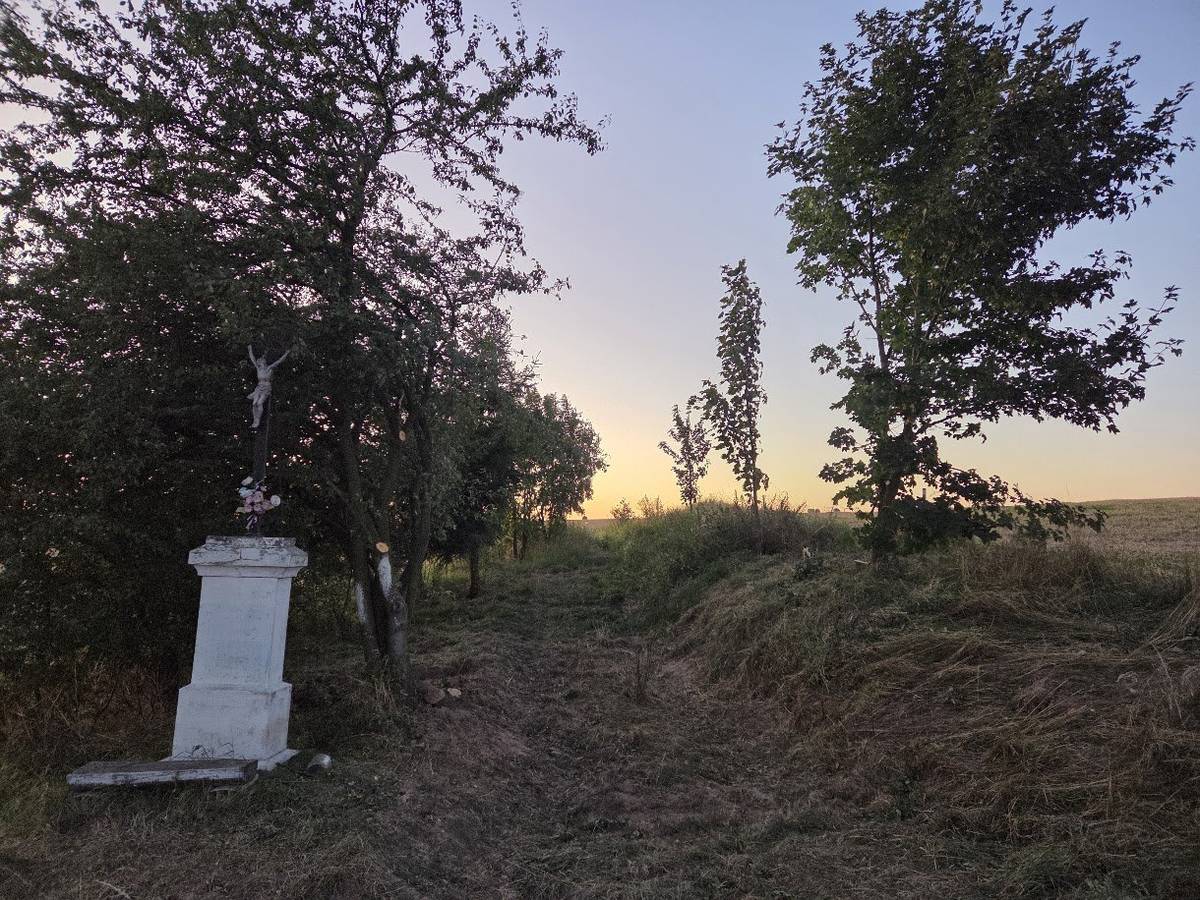 Na sobotu 1. listopadu 2025 jsme od 9:00 hod. připravili opět ve spolupráci s jednou neziskovou organizací výsadbu stromů (24 ovocných stromů a 6 lip) a asi 100 keřů, podél nově obnovených polních cest v lokalitě pod letištěm. Vše se opět budeme snažit předpřipravit a samozřejmě pro účastníky zajistíme občerstvení. Svoji účast přislíbili jako obvykle naši turisté a zahrádkáři, snad se dostaví i členové dalších kotvrdovických spolků.  Budeme se těšit již na několikátou obecní brigádu a věřme, že po nás opět zůstane kus dobré práce:). (Polní cesta je nyní nově obnovena od krajské komunikace na obec Krasovou až po asfaltovou cestu na letiště a od křížku po šotolinovou obecní cestu pod letištěm... a již nyní se po ní pohybuje značné množství chodců i cyklistů. Jedním z hlavních důvodů obnovy těchto cest byl ten, aby se snížila četnost průjezdu zemědělské techniky přes naši obec.) Za OÚ děkuje -LK-