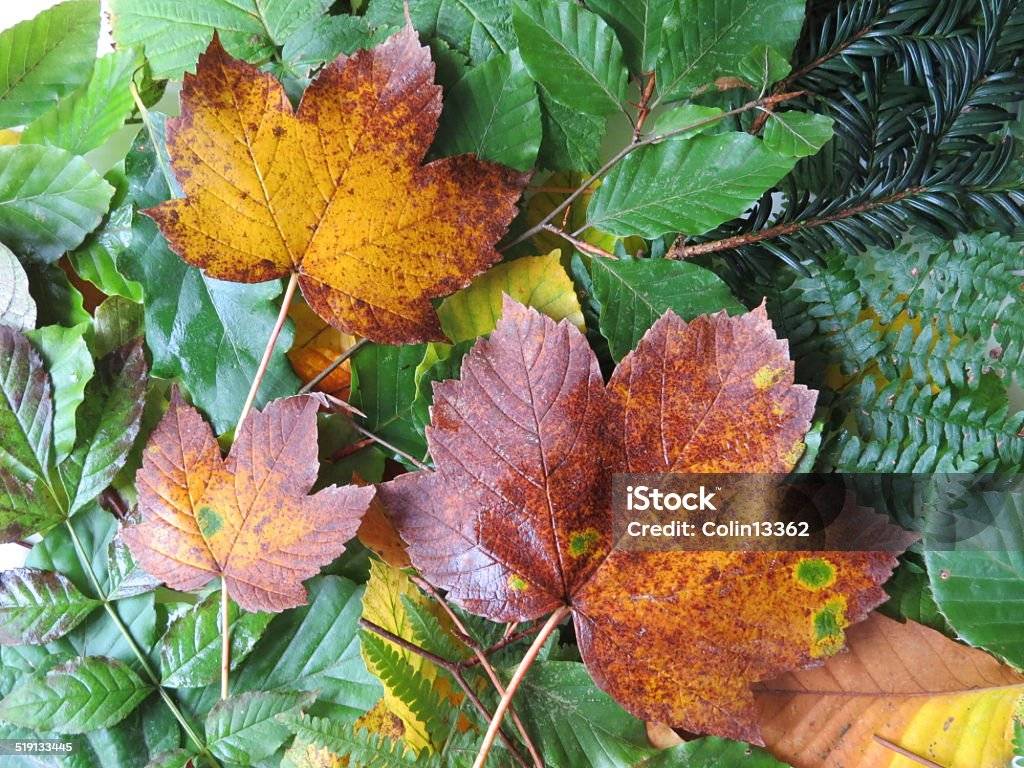 Dne 27.10. a 29.10. mají děti základní školy podzimní prázdniny.   Dne 28.10. - státní svátek.  30.10.-31.10. - škola v provozu     Mateřská škola zůstává ve dnech podzimních prázdnin v provozu.