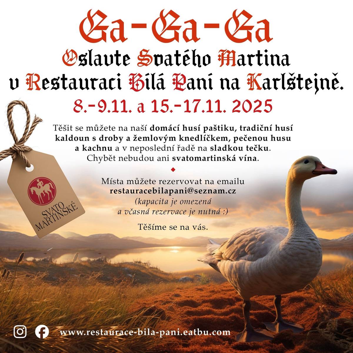 SVATOMARTINSKÉ HODY - RESTAURACE BÍLÁ PANÍ