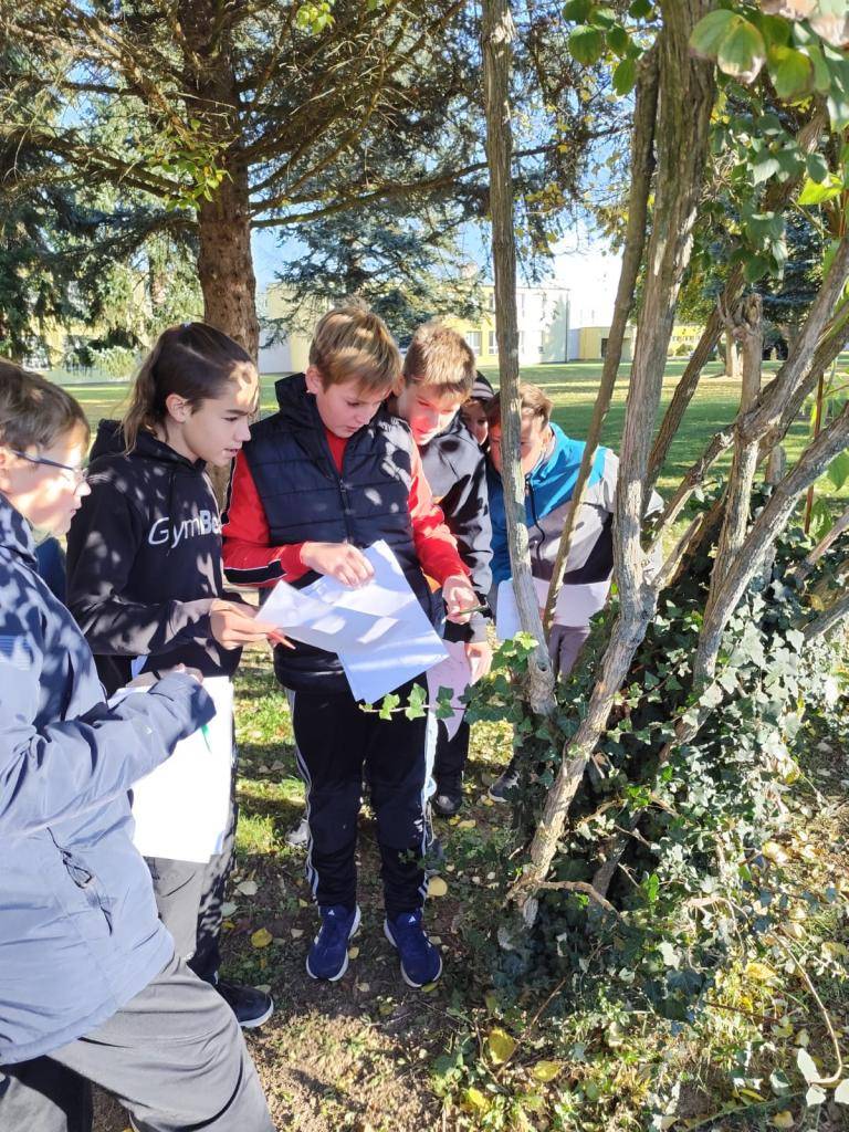 V pondělí 20. 10. probíhal v naší škole velký projekt s názvem "Den stromů". Pro žáky zde bylo připraveno několik stanovišť, na kterých se něco nového dozvěděli a také otestovali své dosavadní znalosti z oblasti stromů. Mohli si zkusit různé pokusy se šiškami či stromovou kůrou.