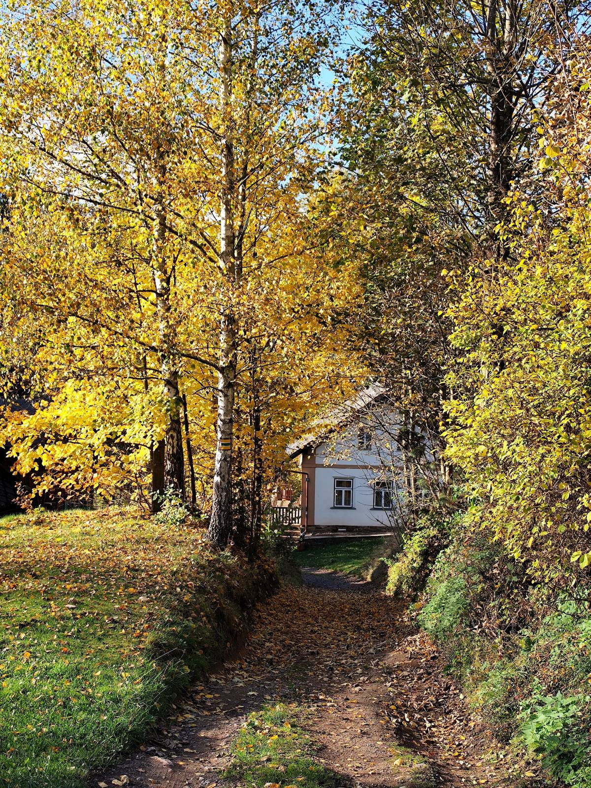 Hellween pro děti 25.10.2025 v kulturním domě Letohrad, začátek od 15 hodin. Divadelní hra Sluha dvou pánů 1.11.2025 sokolovna Líšnice, začátek od 19 hodin. 1. ročník slavnosti svatého Huberta za obnovu kulturního dědictví 1.- 3.11.2025 od 9:00 do 17:00 hodin v zemědělském skanzenu v Rapotíně