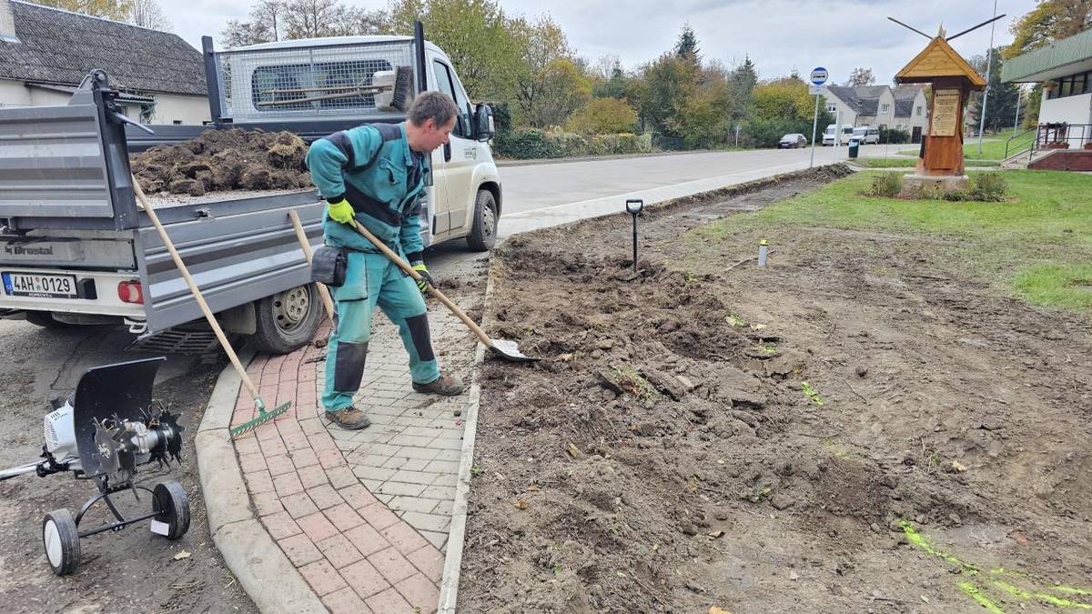V březnu začnou v záhonu kvést krokusy, v dubnu a květnu 50 druhů tulipánů a od května do podzimu směs trvalek a letniček. Také jsme vysázeli nové keře ve stromořadí u vlakové zastávky a okrasnou třešeň u bytovky v Květné.