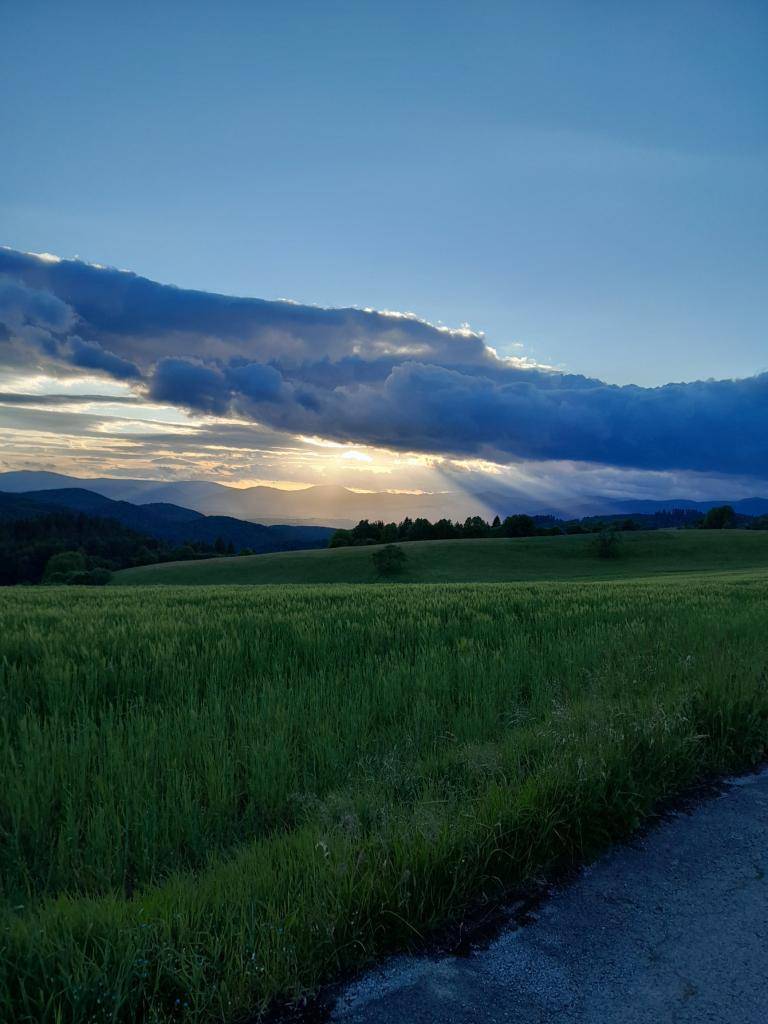 Obec Ľubietová vyzýva všetkých záujemcov o prenájom poľnohospodárskej pôdy, ktorá je vo vlastníctve Obce Ľubietová, aby zaslali žiadosti na prenájom tejto pôdy na ďalšie päť ročné obdobie, do 30. novembra 2025.