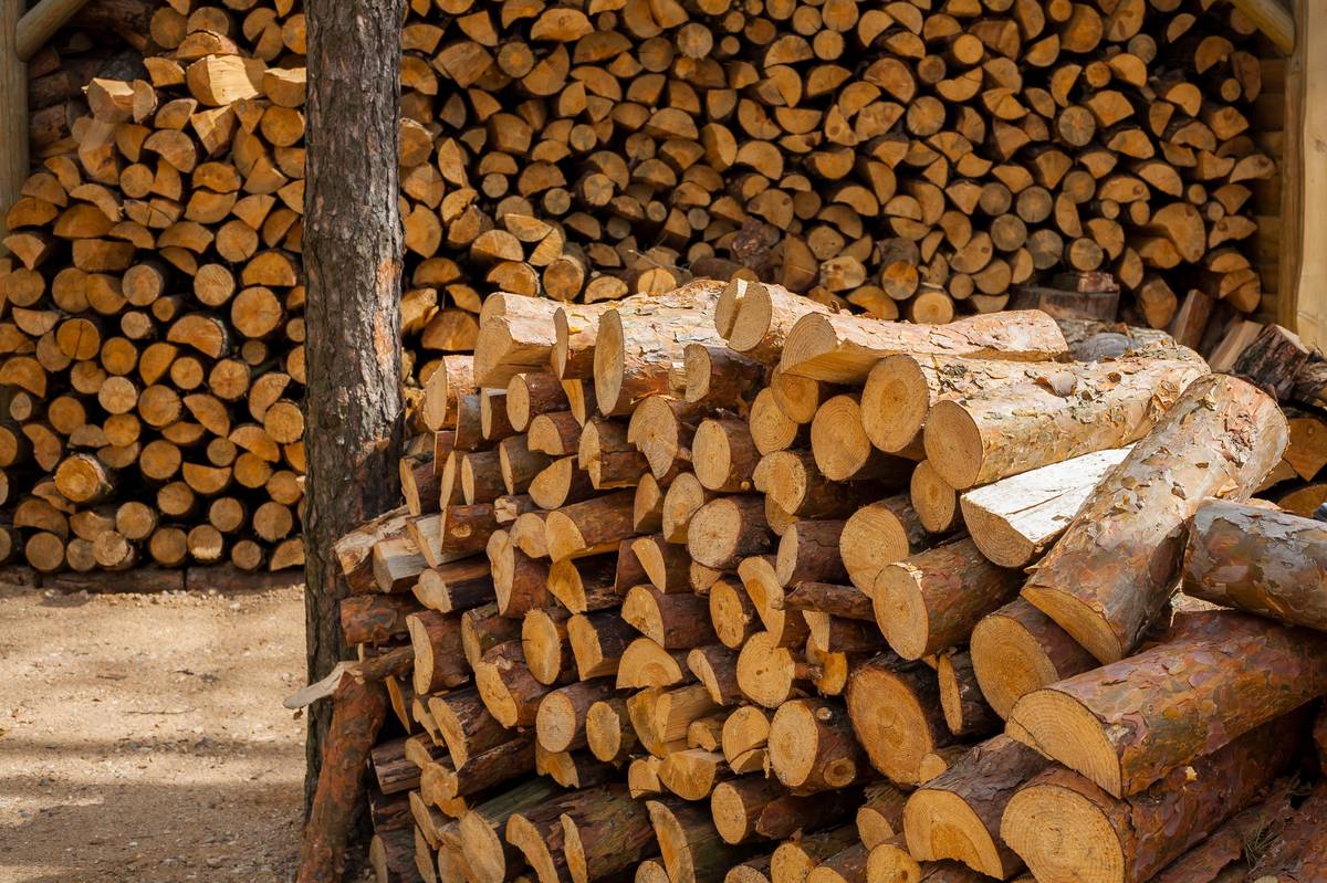 🪵🪓Obec Březina nabízí občanům možnost samotěžby dřeva v obecním lese. Možnost těžby tvrdého i měkkého dřeva. V případě zájmu a pro více informací kontaktujte místostarostu Adama Kozla, tel. 721 719 103.