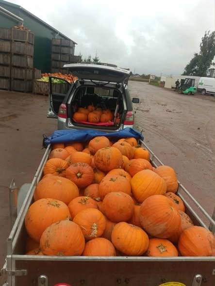 Dlabání dýní přesouváme na neděli! Podle všech předpovědí to v sobotu opravdu nevypadá dobře – čeká nás chladno, déšť a rozmočená zem, takže by dlabání venku nebylo příliš příjemné ani pro malé, ani pro velké tvůrce. Proto Dlabání dýní přesouváme na neděli 26. října. Sejdeme se na sále Pellyho domů od 13:00 do 17:00 – v teple, suchu a s dobrou náladou. Občerstvení zůstává v plné síle – svařák bude, něco na zub taky a pro otužilce i točené pivo . Jen opekání buřtů si necháme na příště   A všechny krásně vydlabané výtvory pak vystavíme na Masarykově náměstí, kde ozdobí centrum Police nad Metují. Na Nebíčku se v sobotu 25. října uskuteční Primátor Dual Slalom a pokud to vítr dovolí, draky si samozřejmě můžete přijít pustit – drakiáda tak proběhne v komornějším, spontánním duchu   Těšíme se na vás v teple sálu a s vůní podzimu všude kolem Pellyho domy – neděle 26. 10. – 13:00–17:00