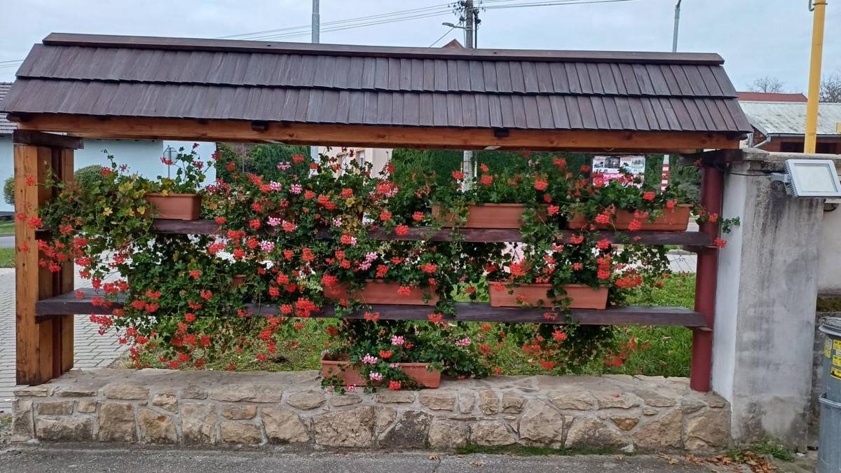 Informace pro rodiče