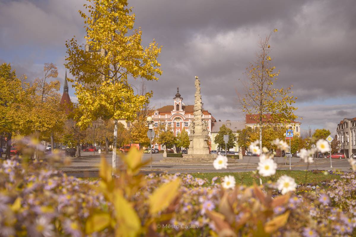 Vážení občané, dovolujeme si Vás upozornit, že vedoucí odboru sociálních věcí a zdravotnictví, Bc. Marie Muchová, sídlí dočasně v kanceláři č. 2.11 v 1. patře městského úřadu, Generála Eliáše 6, Čásl...