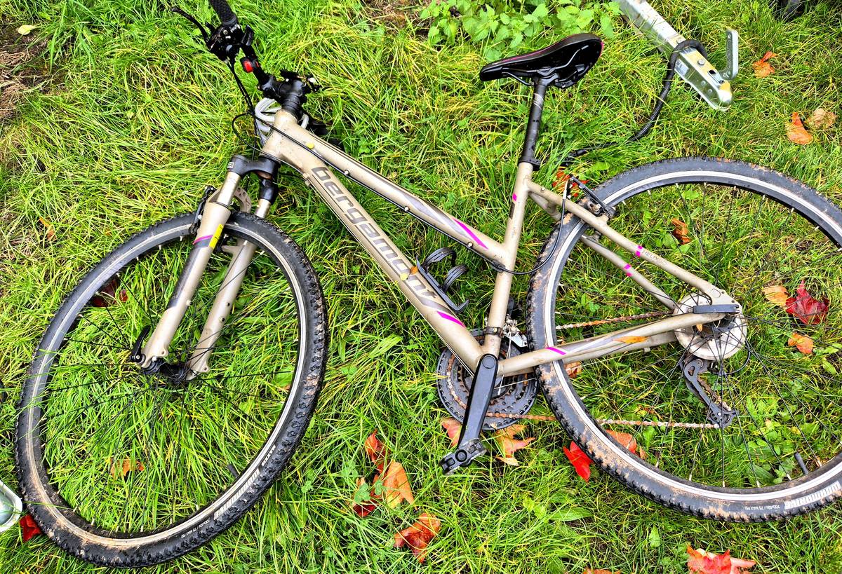 v obci Lochenice se našlo jízdní kolo, majitelé mohou kontaktovat 724184491