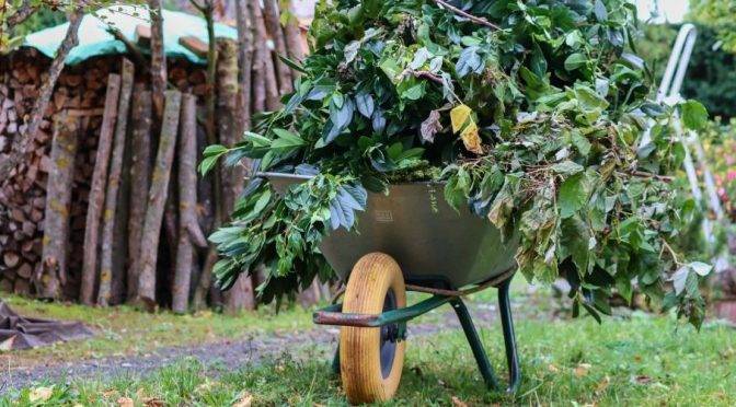 Zber konárov sa uskutoční na zberných miestach (obecné trhovisko a vo dvore Starej školy v miestnej časti Dobrá) od 3. do 8.novembra 2025.