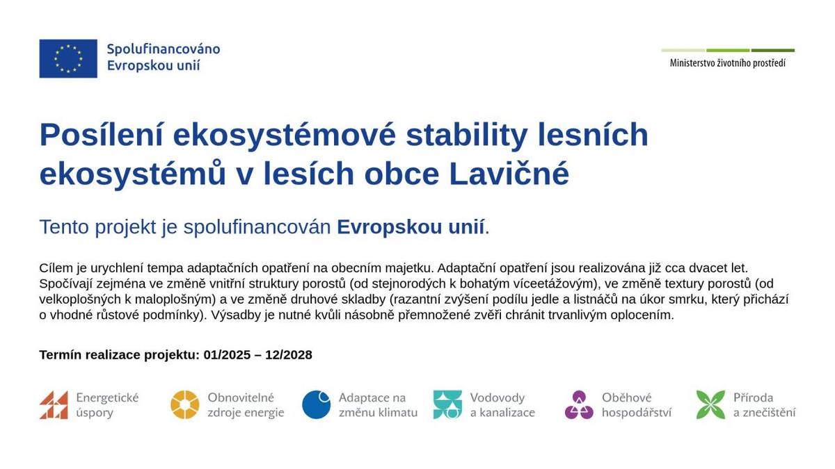 Ekosystémy v lesích