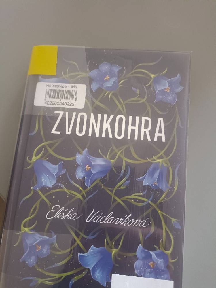 Vážení čtenáři v Sádku a Malých, z důvodu st. svátku, budou zítra knihovny uzavřeny. Náhradní termín bude 4.11.2025 a prosím, přijdete vrátit knihy se žlutým proužkem. Děkuji knihovnice.