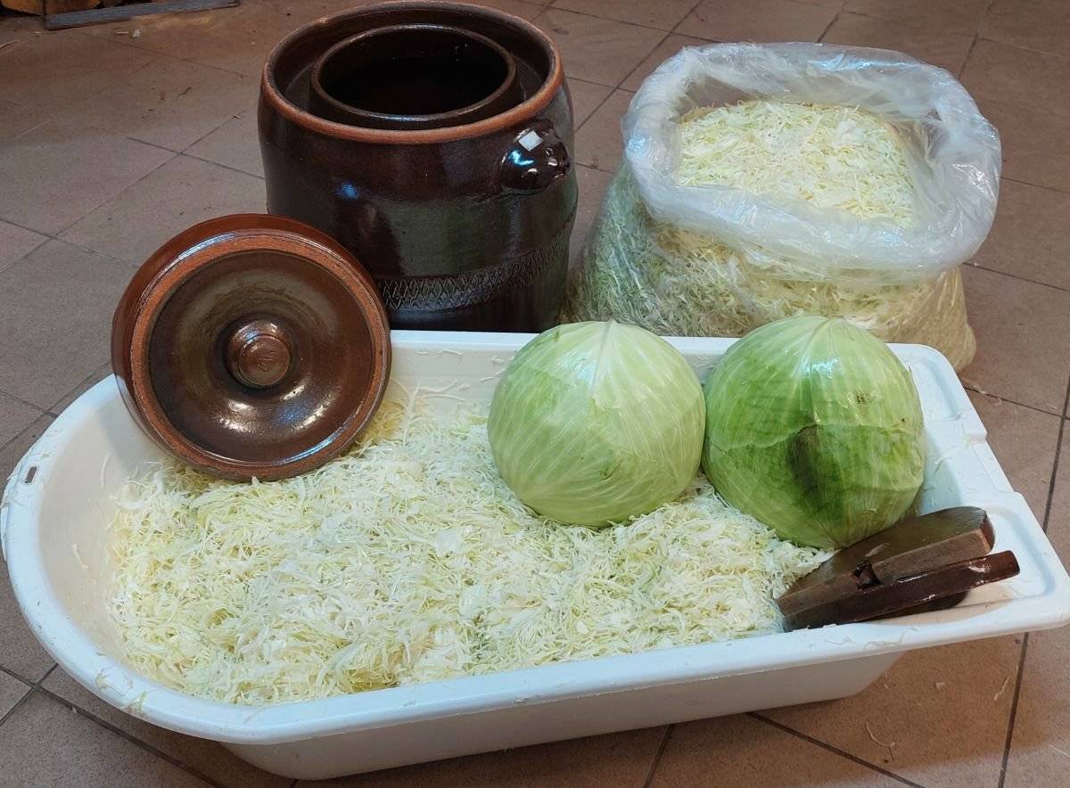 Vážení spolubčania, oznamujeme  Vám, že vo štvrtok  30.10.2025 v čase od 15:30 hod. príde do našej obce súkromný podnikateľ - p.Bukovčan, predávať  rezanú kapustu na zimné uskladnenie.  Predávať bude na priestranstve pred zdravotným strediskom (garáže) .