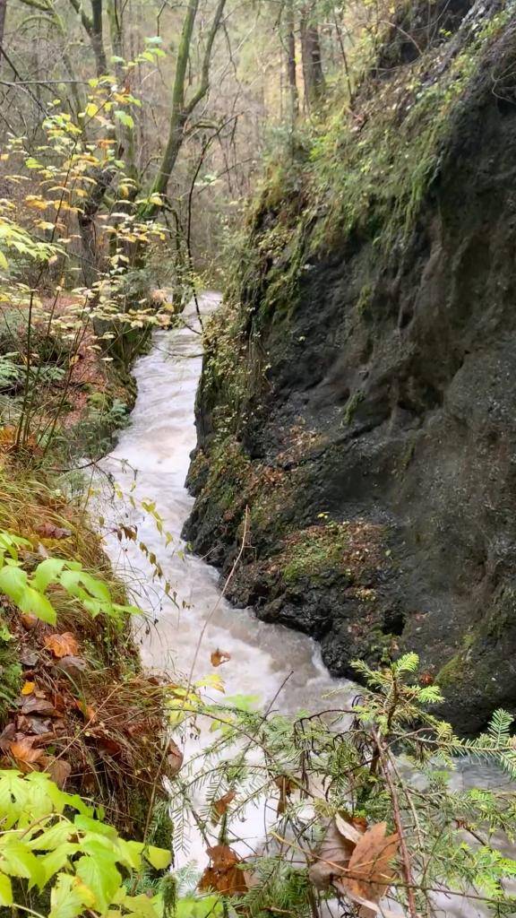 Od soboty 25. 10. 2025 sú rokliny v Slovenskom raji opäť otvorené, no platí DÔRAZNÉ UPOZORNENIE NA VYSOKÝ STAV VODY.