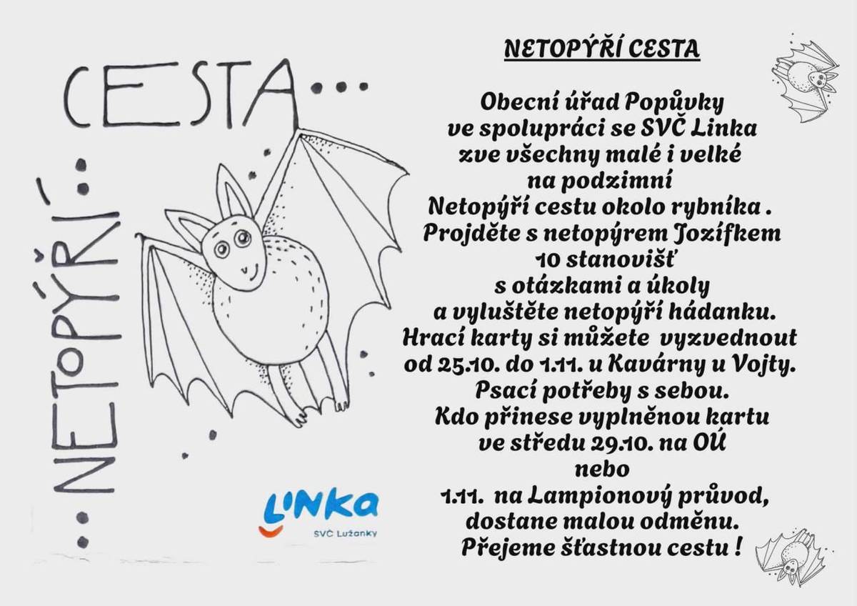 Netopýří cesta