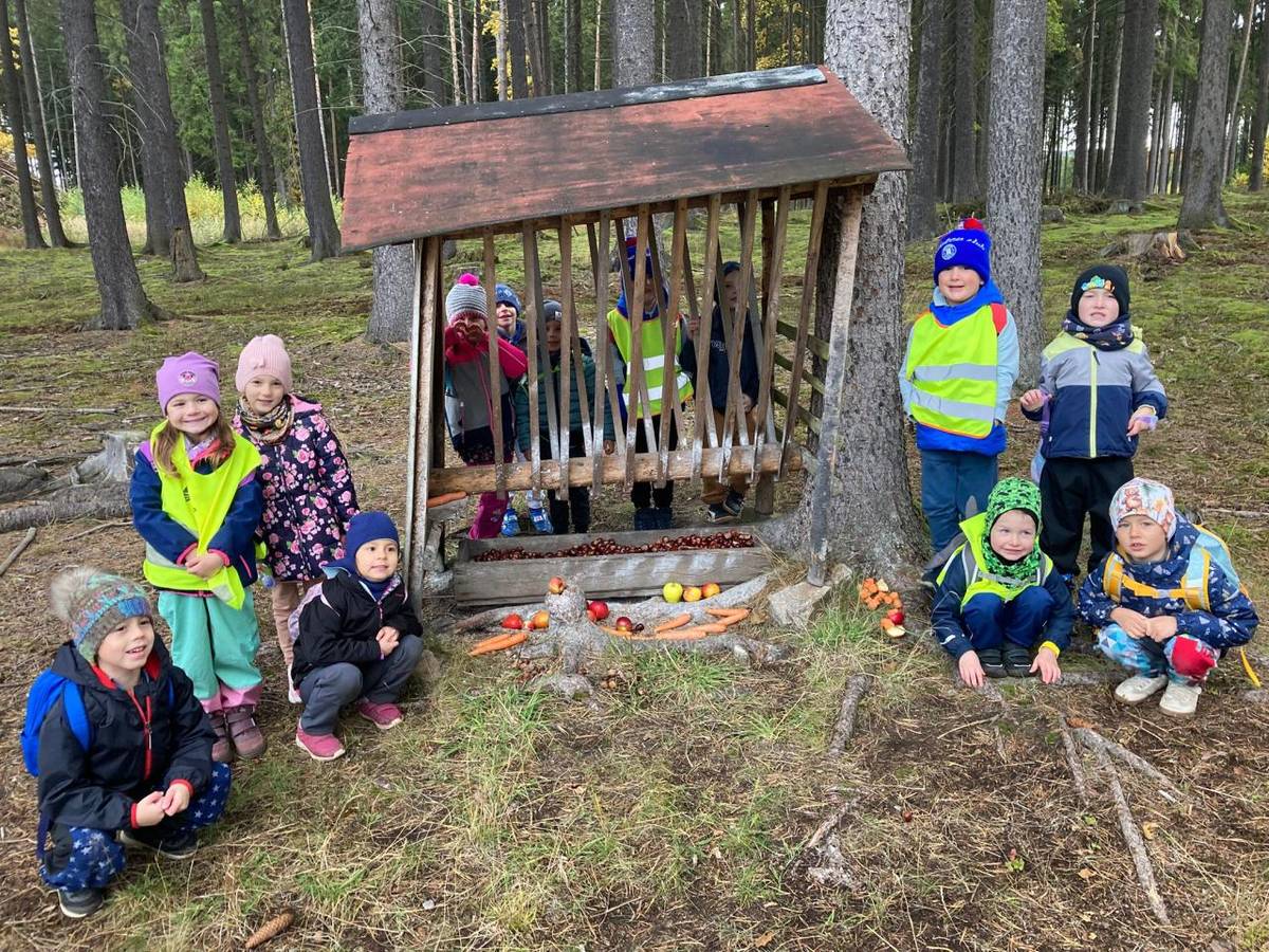 Včeličky se vydaly do lesa.