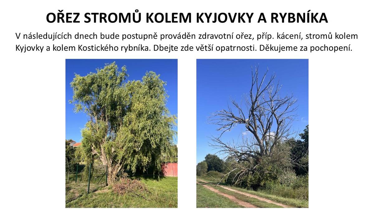 Postupně bude prováděn zdravotní ořez a kácení stromů v okolí Kyjovky a Kostického rybníka. Apelujeme na občany, aby dbali větší opatrnosti v těchto oblastech.