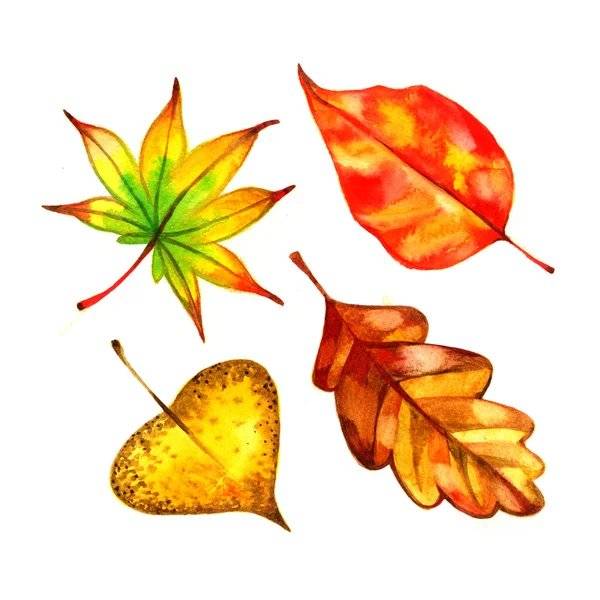 Milé děti, mílí rodiče, v naší obci na Vás čeká nová aktivita - podzimní stezka kolem Hrejkovického rybníka. Začátek trasy u Hrejkovické hospody. Vhodné pro děti 3-7 let. Info na místě. S sebou něco na psaní. Tak vyražte do přírody, přejeme hodně zdaru!